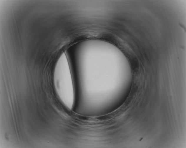X0000096730215200802051136