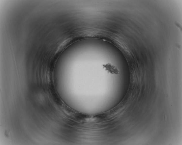 X0000096730216200802051136