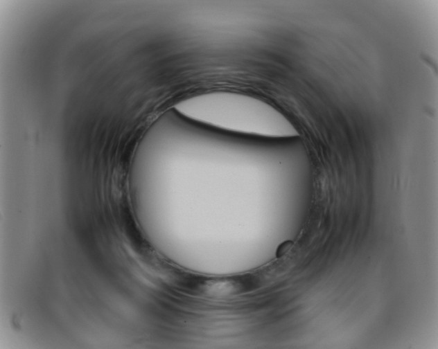 X0000096730218200802051136