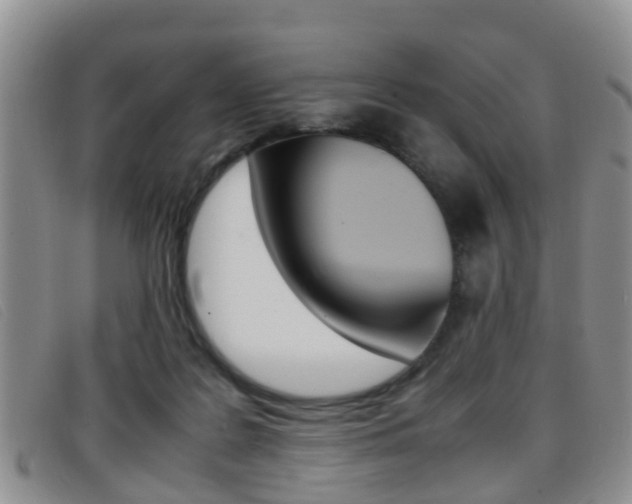 X0000096730219200802051136
