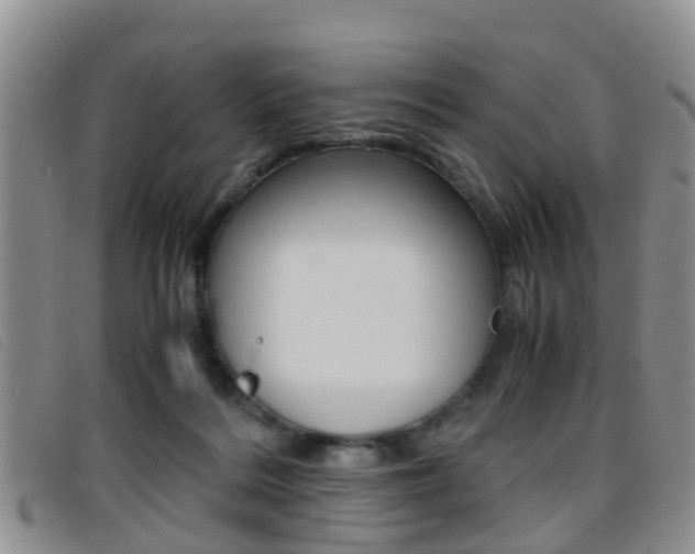 X0000096730220200802051136