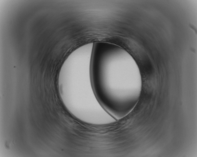 X0000096730221200802051136
