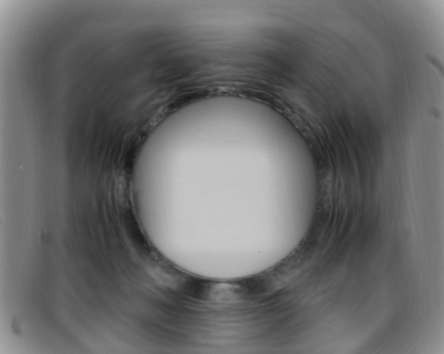 X0000096730222200802051136