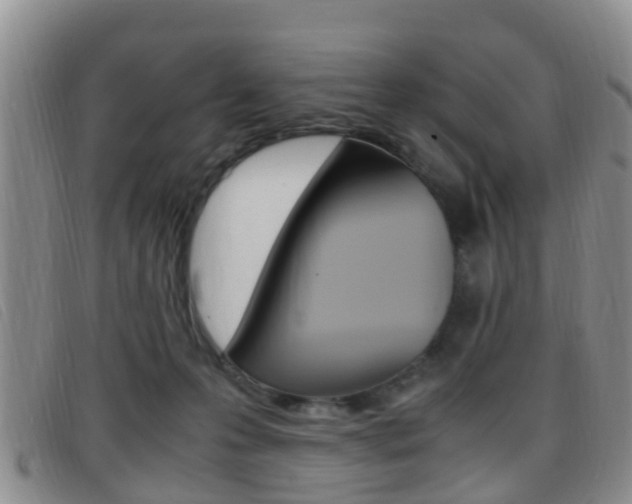 X0000096730223200802051136