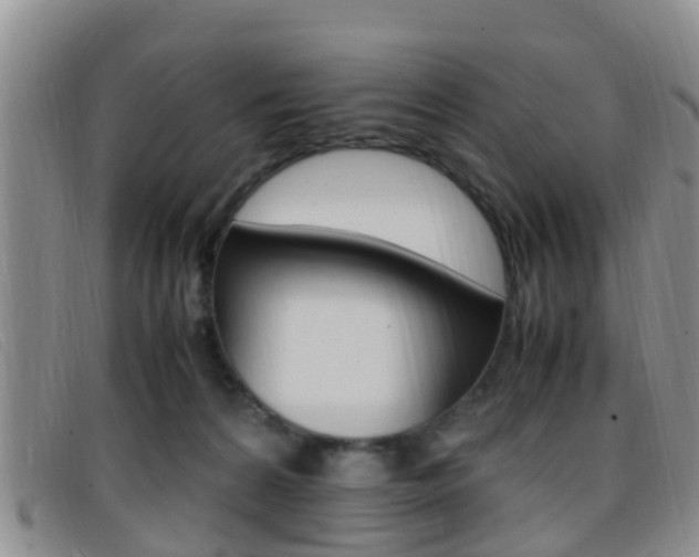 X0000096730224200802051136