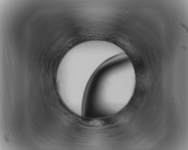 X0000096730225200802051136