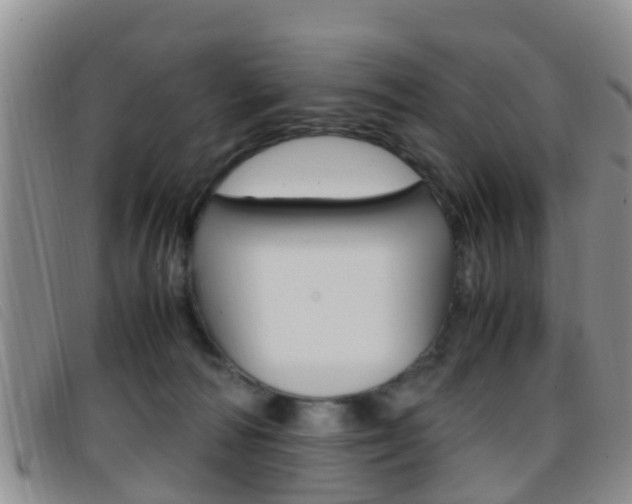 X0000096730226200802051136