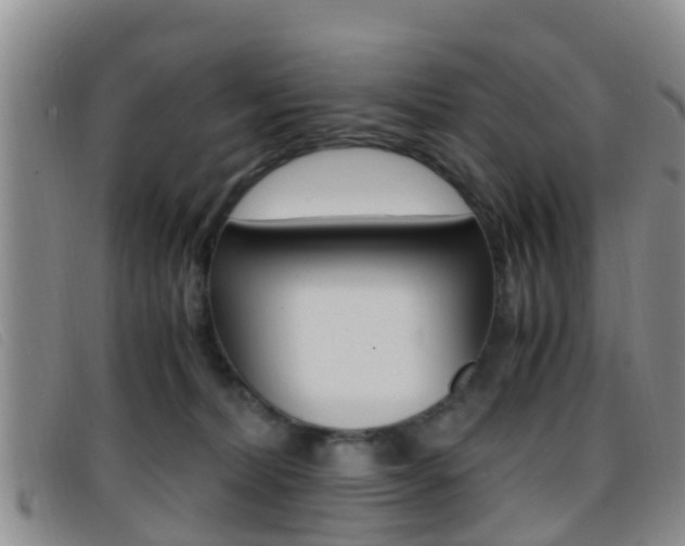X0000096730228200802051136