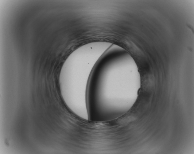 X0000096730229200802051136