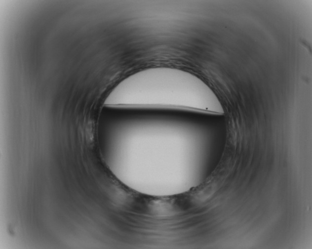 X0000096730232200802051136