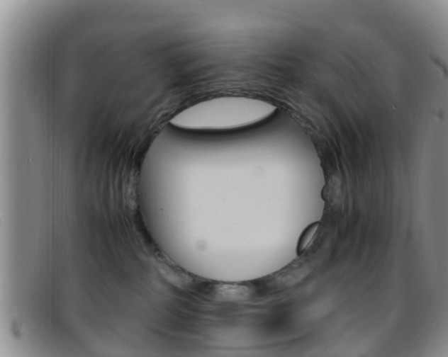 X0000096730234200802051136