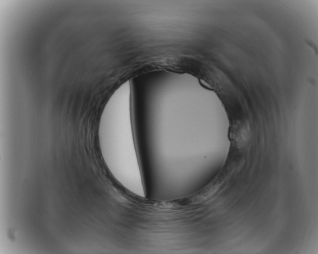 X0000096730235200802051136