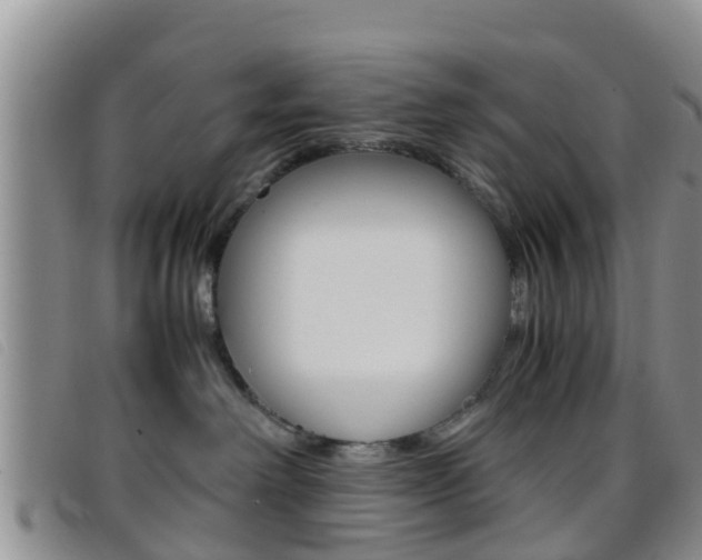 X0000096730238200802051136