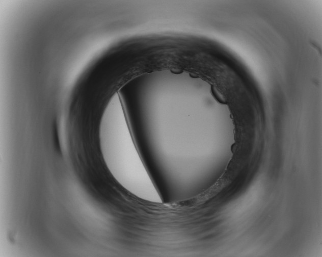 X0000096730239200802051136