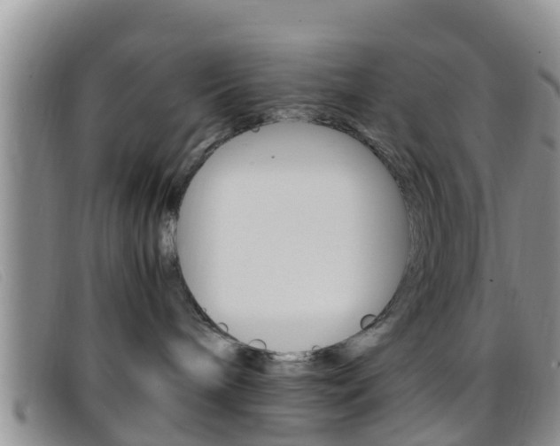 X0000096730240200802051136