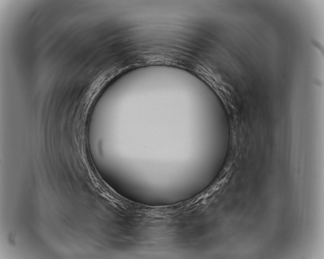 X0000096730241200802051135