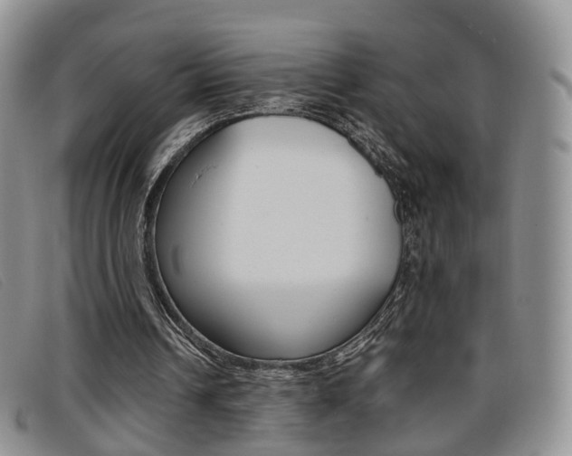 X0000096730242200802051135