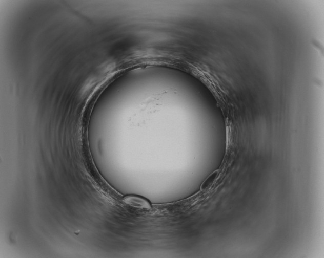 X0000096730243200802051135