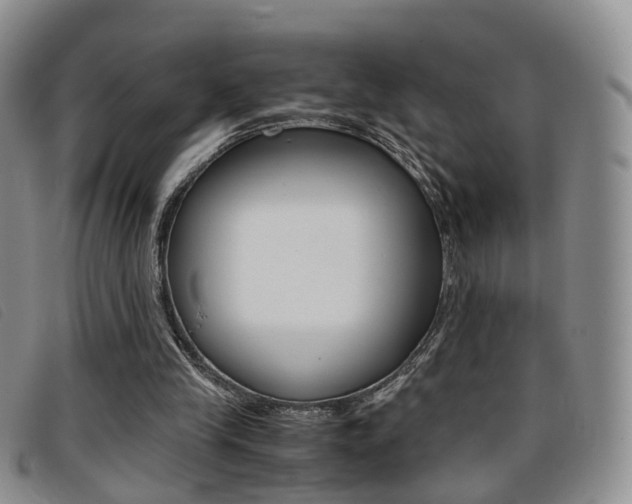 X0000096730245200802051135