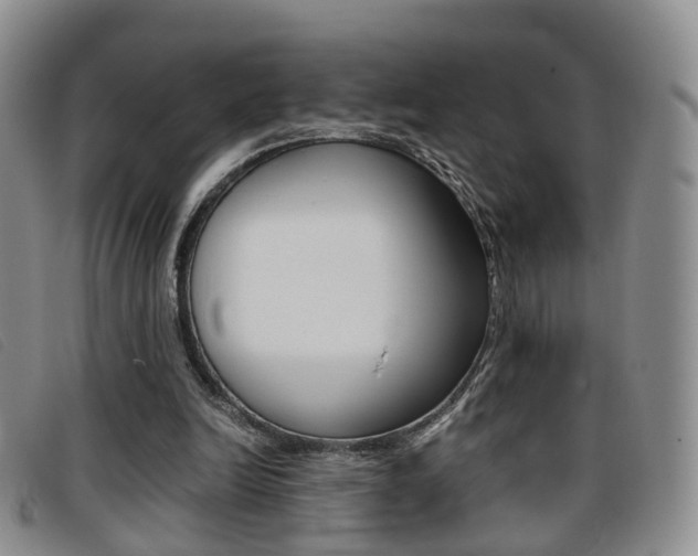 X0000096730246200802051135