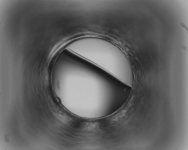 X0000096730247200802051135