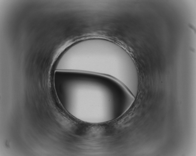 X0000096730248200802051135