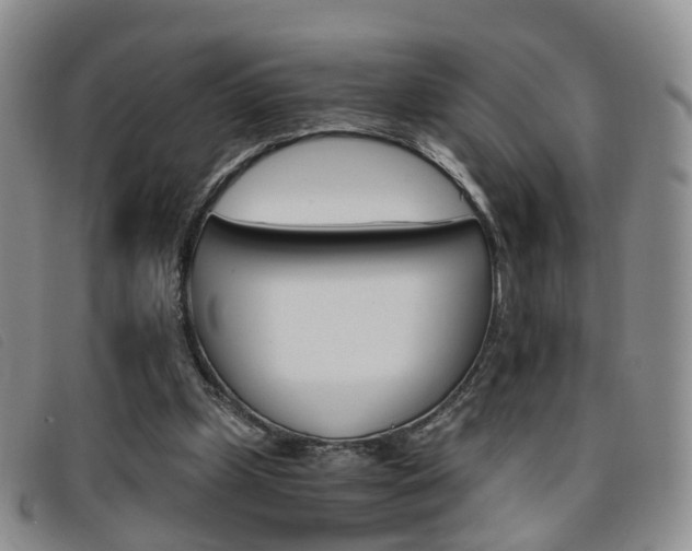 X0000096730249200802051135
