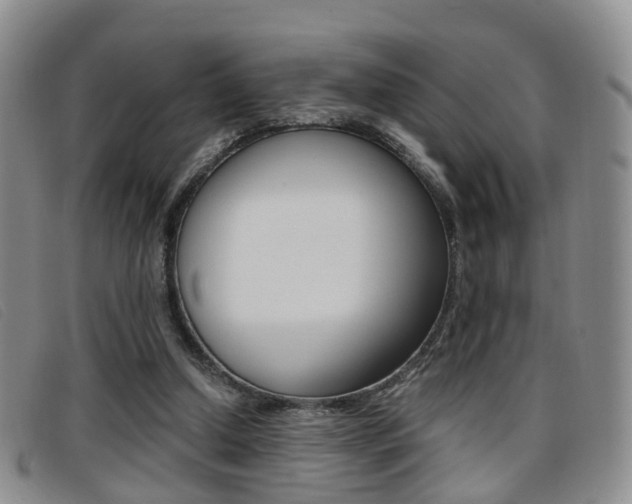 X0000096730250200802051135
