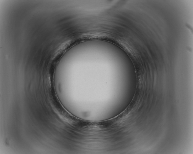 X0000096730254200802051135