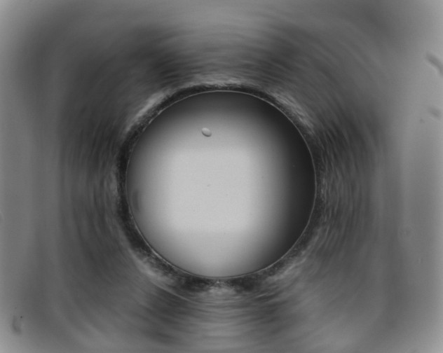 X0000096730256200802051135