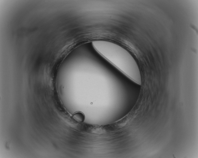 X0000096730258200802051135