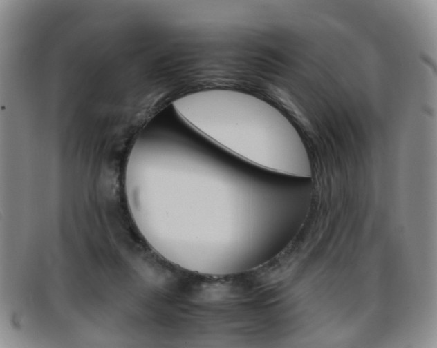 X0000096730259200802051135