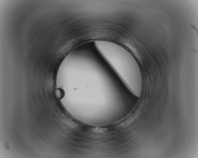 X0000096730261200802051135