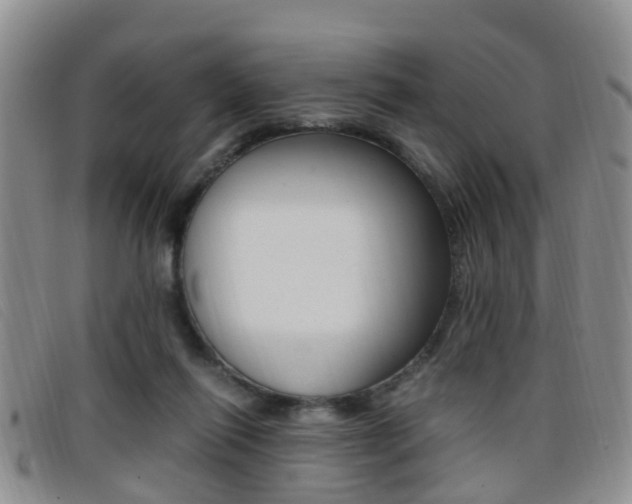 X0000096730262200802051135
