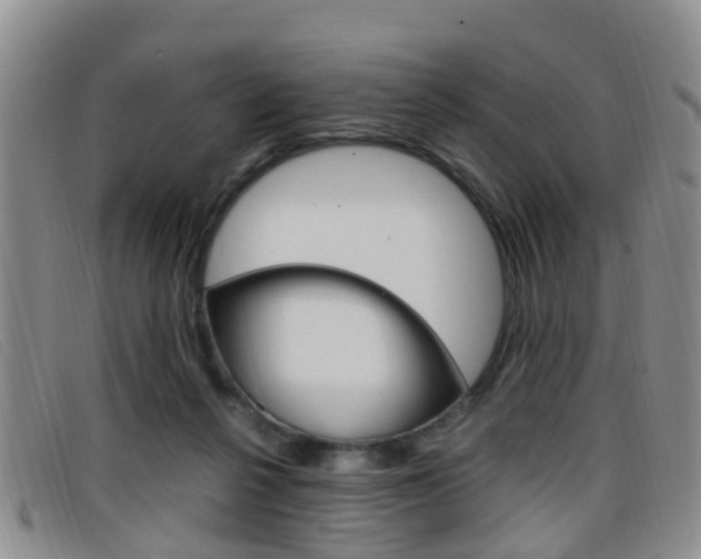 X0000096730264200802051136