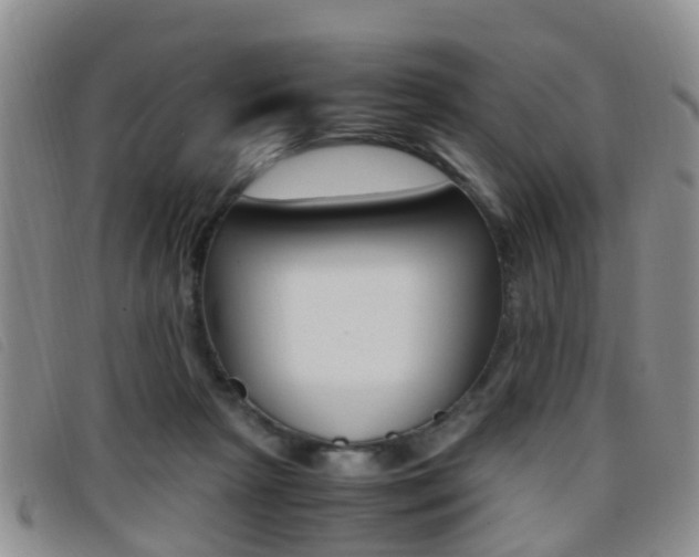 X0000096730265200802051136