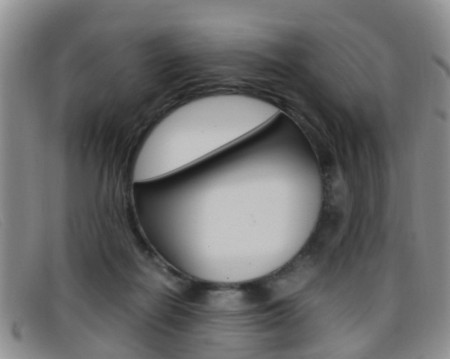 X0000096730266200802051136