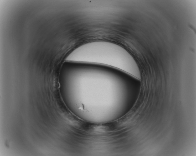 X0000096730268200802051136