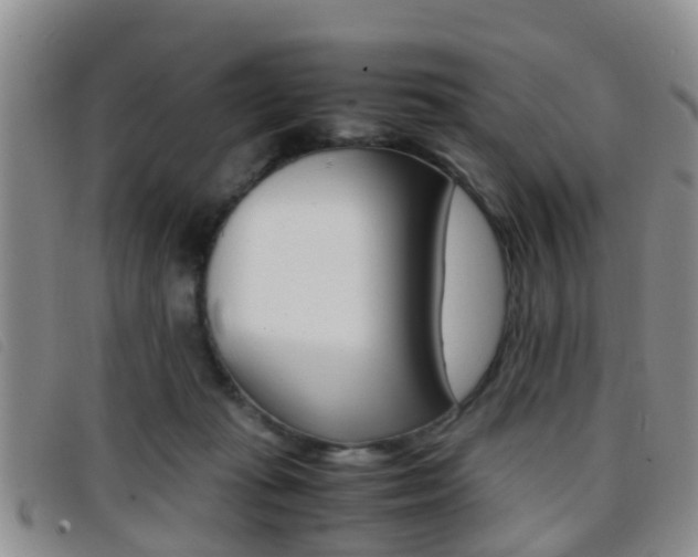 X0000096730269200802051136