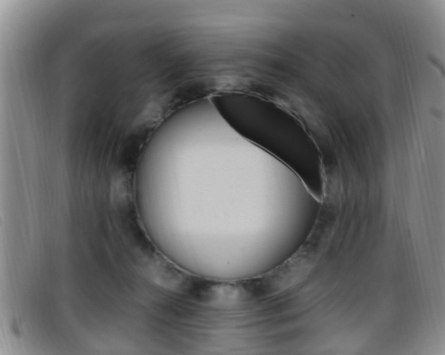 X0000096730272200802051136