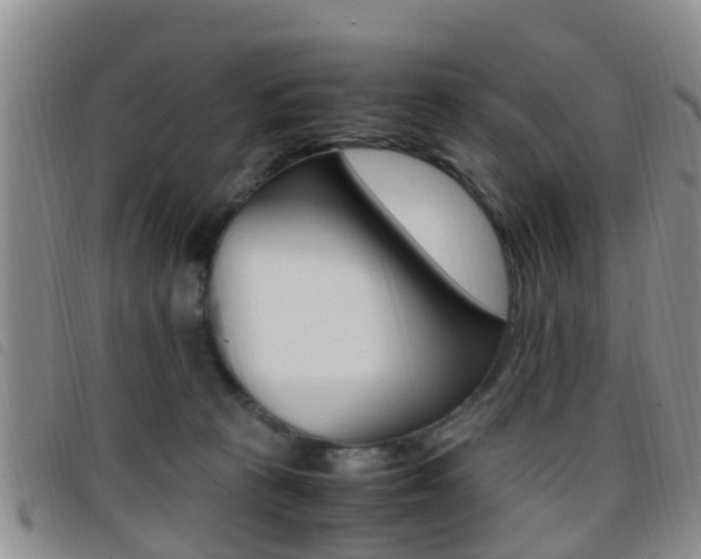 X0000096730273200802051136