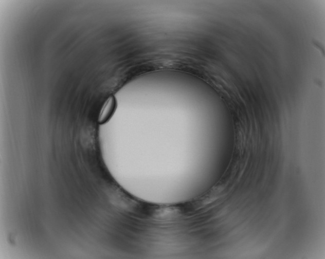 X0000096730274200802051136