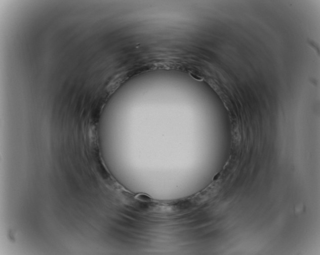 X0000096730276200802051136