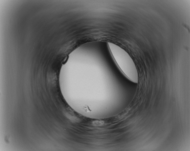 X0000096730279200802051136