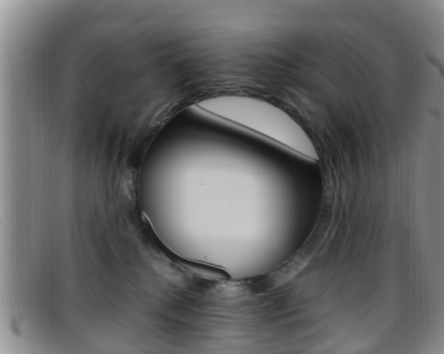 X0000096730280200802051136