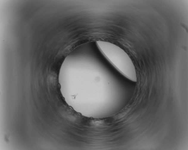 X0000096730283200802051136