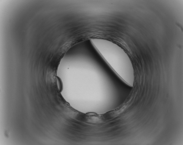 X0000096730285200802051136