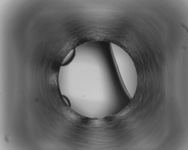 X0000096730286200802051136