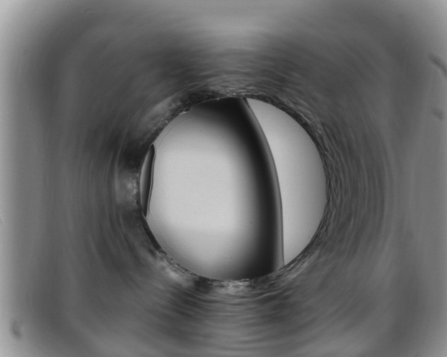 X0000096730288200802051136