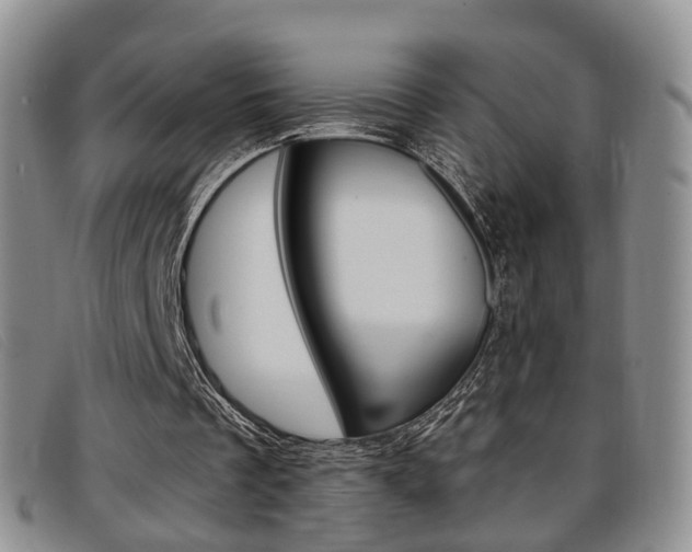 X0000096730289200802051135